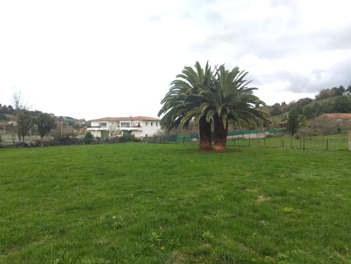 Hotel Las Palmeras à Gijón Extérieur photo